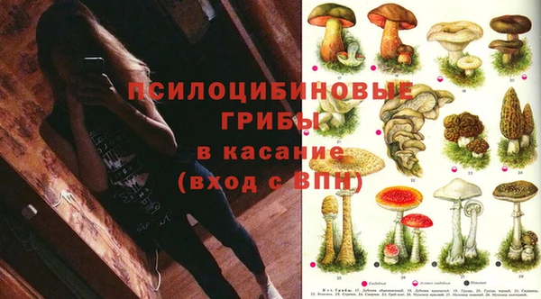 2c-b Верея