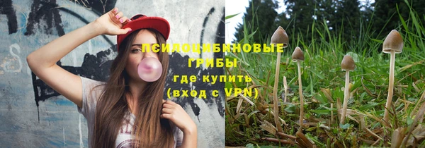 мдпв Володарск