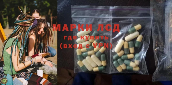 сатива Волосово