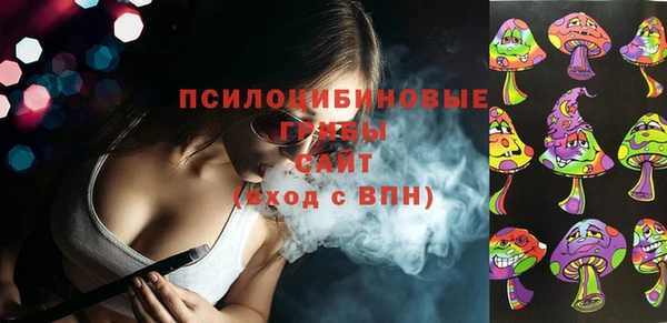 ПСИЛОЦИБИНОВЫЕ ГРИБЫ Вязьма