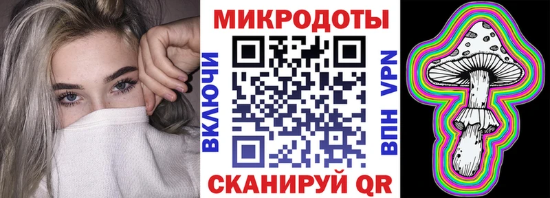Псилоцибиновые грибы Cubensis  Заволжье 
